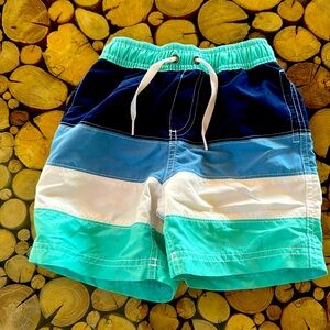 Hanna Andersson Boys Swim Trunks. Size 4
